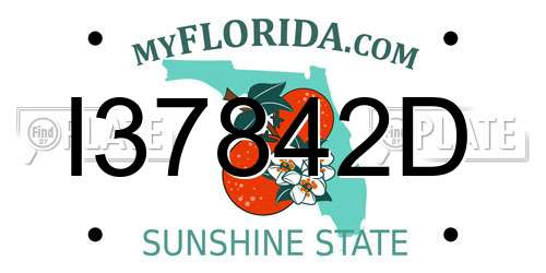 I37842D Florida License Plate