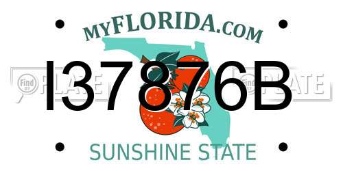 I37876B Florida License Plate