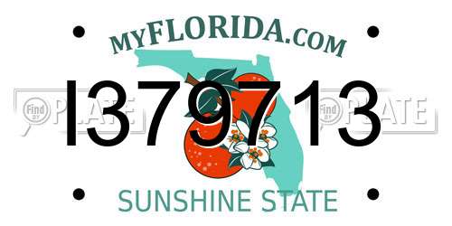 I379713 Florida License Plate
