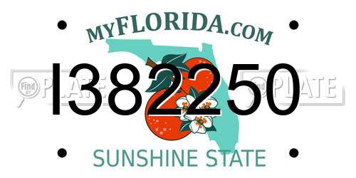 I382250 Florida License Plate