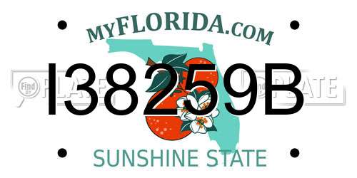 I38259B Florida License Plate