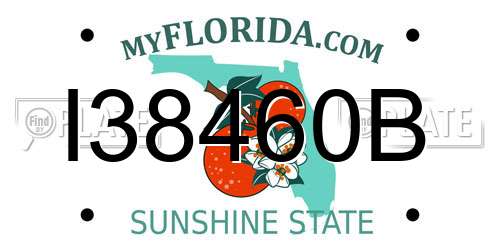 I38460B Florida License Plate