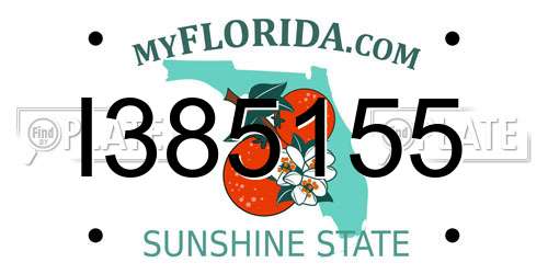 I385155 Florida License Plate