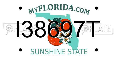 I38697T Florida License Plate