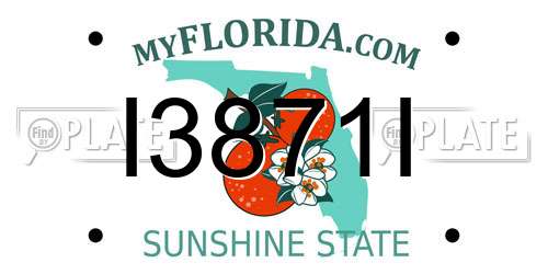 I3871I Florida License Plate
