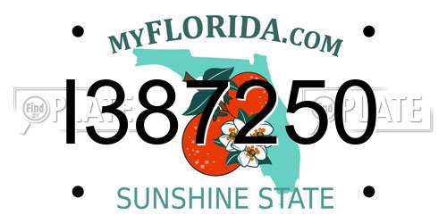 I387250 Florida License Plate