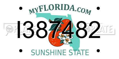 I387482 Florida License Plate