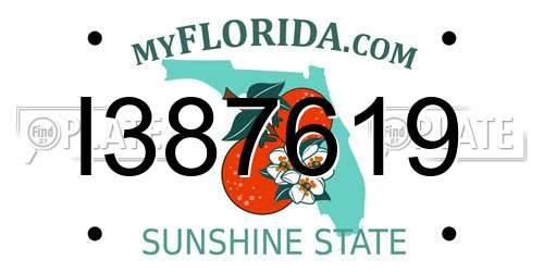 I387619 Florida License Plate