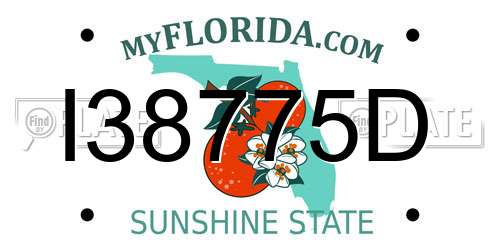 I38775D Florida License Plate