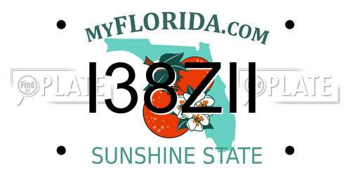 I38ZII Florida License Plate
