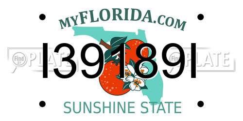 I39189I Florida License Plate
