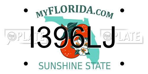 I396LJ Florida License Plate