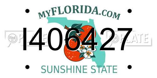 I406427 Florida License Plate