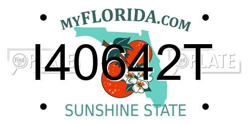 I40642T Florida License Plate