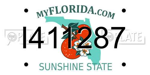 I411287 Florida License Plate