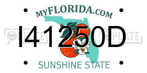 I41250D Florida License Plate