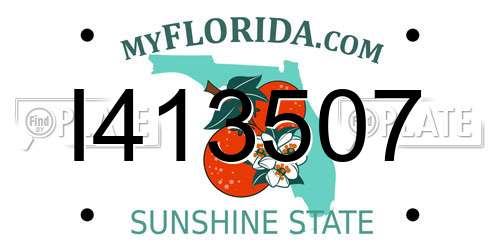 I413507 Florida License Plate