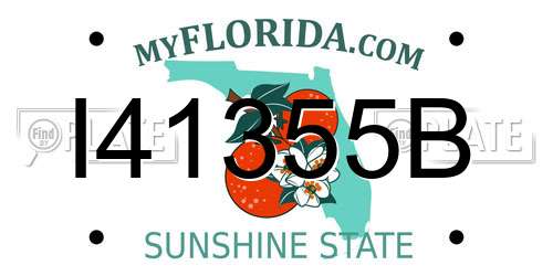 I41355B Florida License Plate