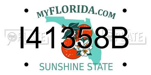 I41358B Florida License Plate