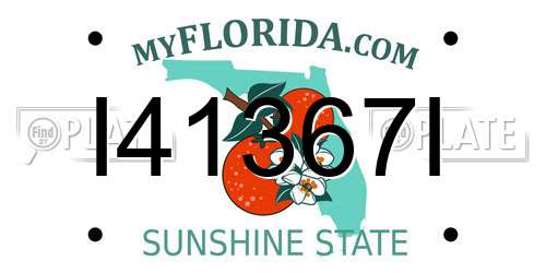 I41367I Florida License Plate