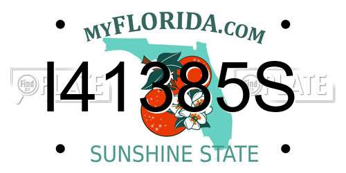 I41385S Florida License Plate
