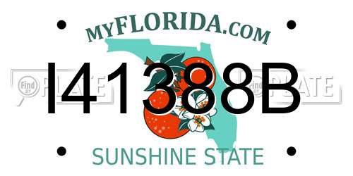 I41388B Florida License Plate