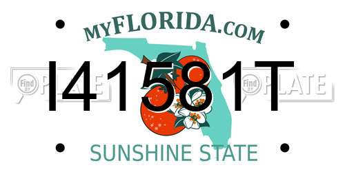 I41581T Florida License Plate