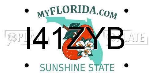 I41ZYB Florida License Plate