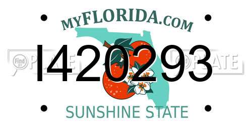 I420293 Florida License Plate