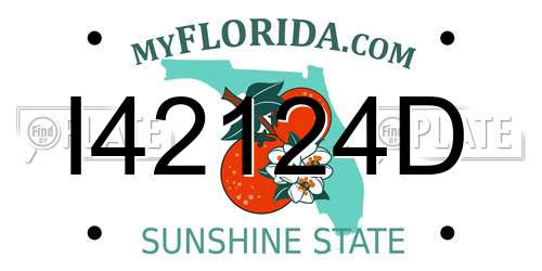 I42124D Florida License Plate