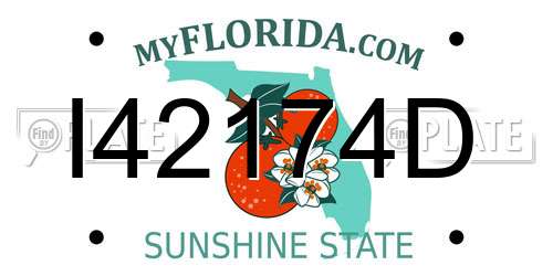 I42174D Florida License Plate