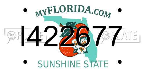 I422677 Florida License Plate