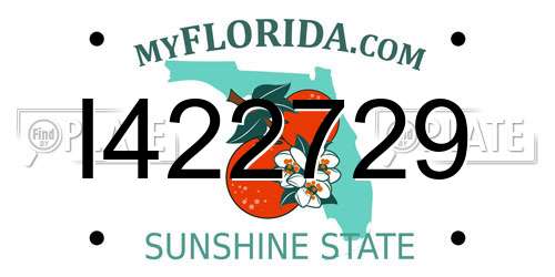 I422729 Florida License Plate