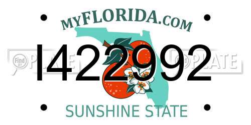 I422992 Florida License Plate