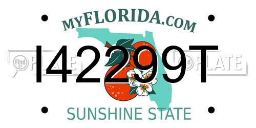 I42299T Florida License Plate