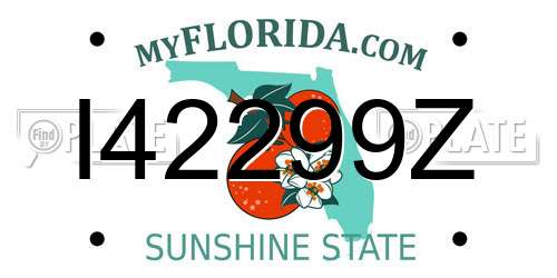I42299Z Florida License Plate