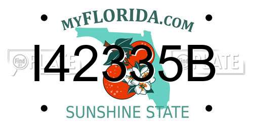 I42335B Florida License Plate