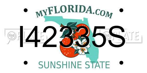 I42335S Florida License Plate