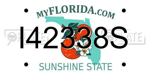 I42338S Florida License Plate