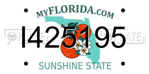 I425195 Florida License Plate