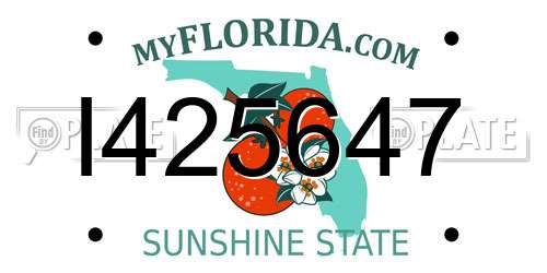 I425647 Florida License Plate