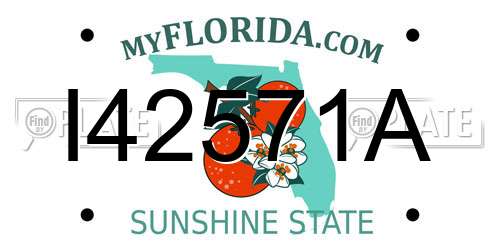 I42571A Florida License Plate