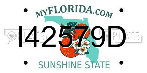 I42579D Florida License Plate