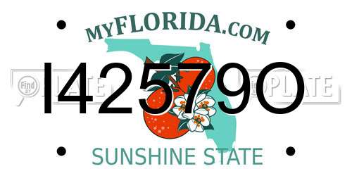 I42579O Florida License Plate