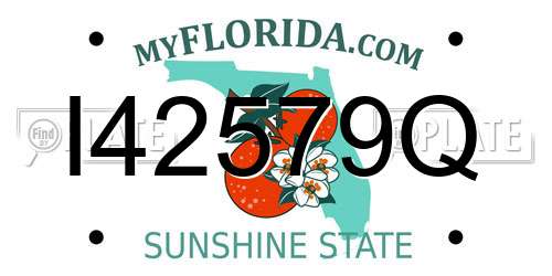 I42579Q Florida License Plate