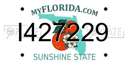 I427229 Florida License Plate