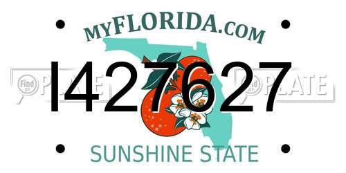 I427627 Florida License Plate