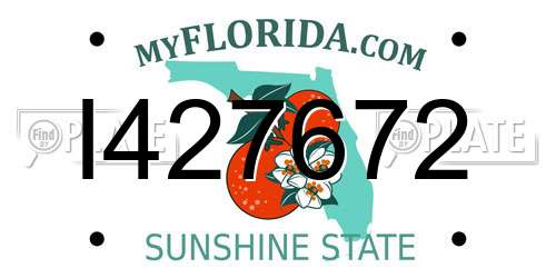 I427672 Florida License Plate