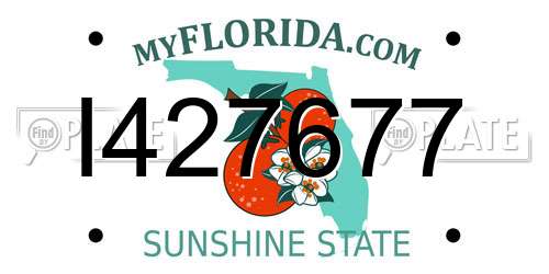 I427677 Florida License Plate