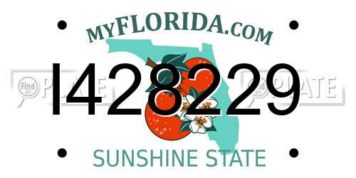 I428229 Florida License Plate
